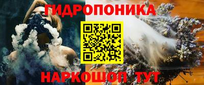 дмт Будённовск