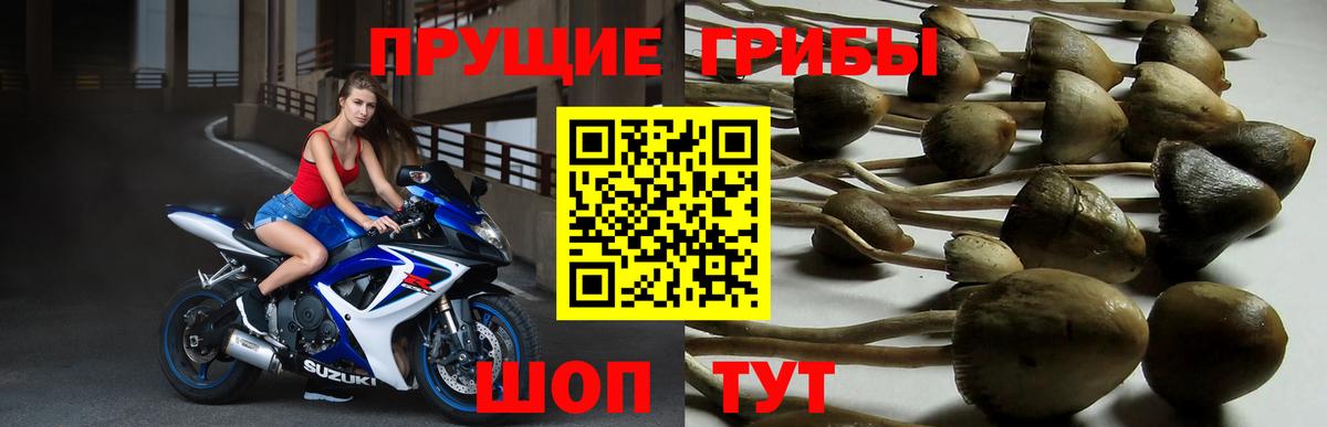 Нефтеюганск  что такое   Вход с VPN  Галлюциногенные грибы ЛСД 